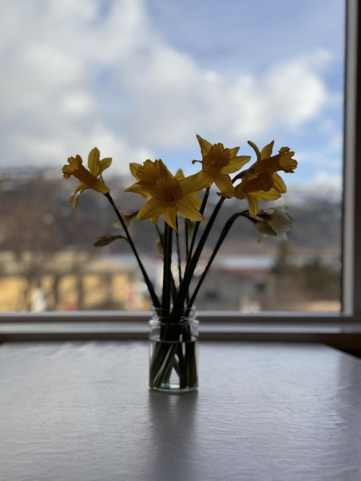 Guesthouse Talknafjoerthur Екстериор снимка